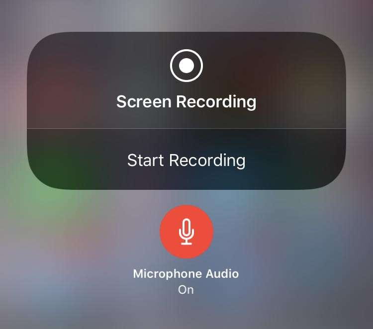 iOS long press of Record Screen screen shot 