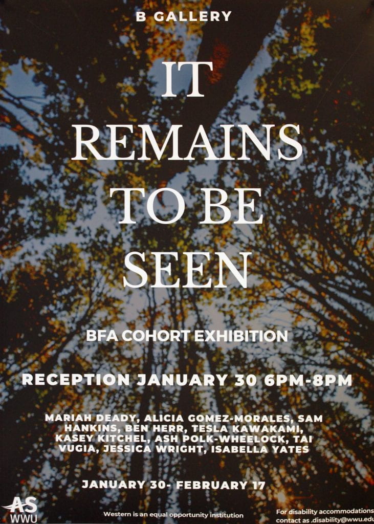 It Remains To Be Seen; A BFA Exhibition