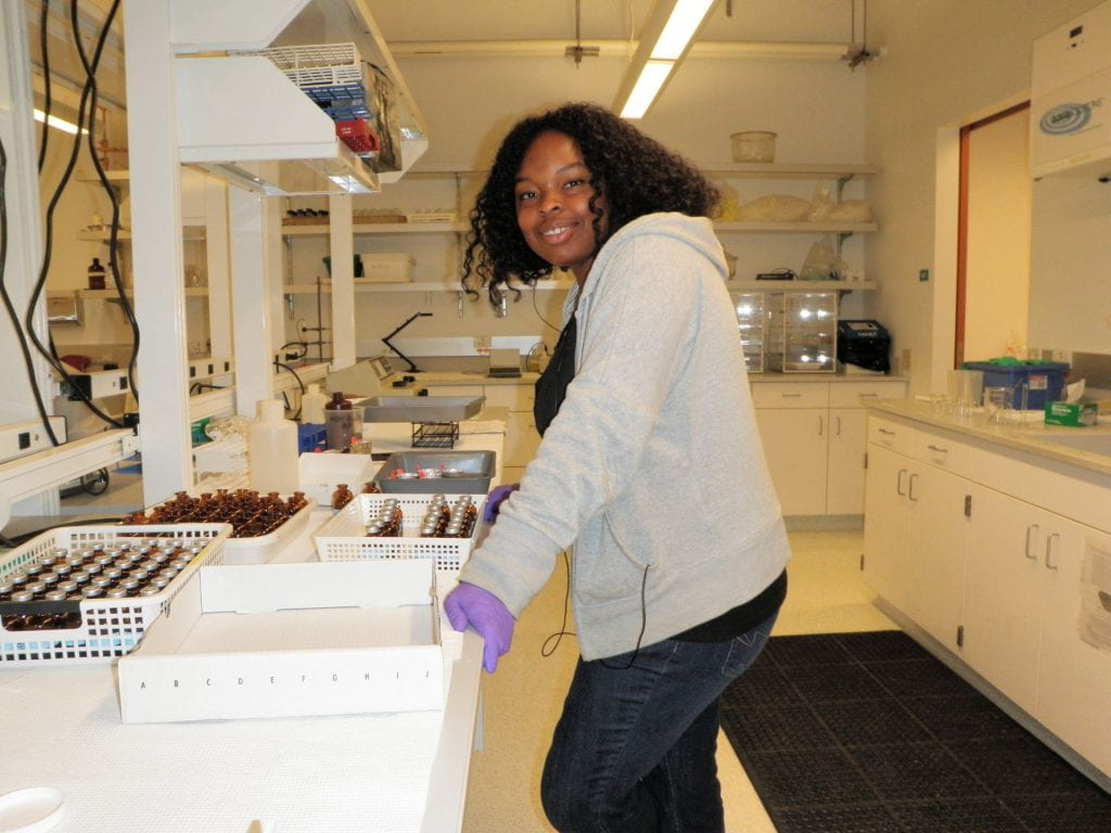 Jen (Undergraduate Student) Conducting Research in the Shannon Point Marine Chemistry Lab 