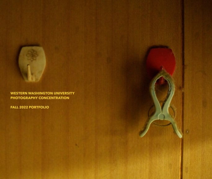 What appears to be wood panel, on the left is a little faded yellow key hook with a flower pattern on the flat section, on the right, the same key hook, but red with no pattern, with a clip of some kind hanging off of it.
The words "Western Washington University, Photography Concentration, Fall 2022 Portfolio" written in yellow just beneath the yellow clip. 
