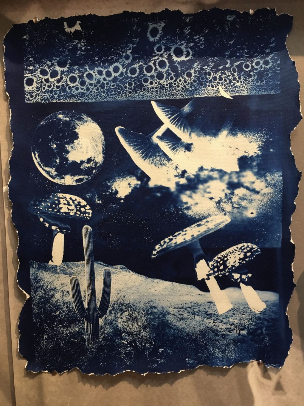 In dark blue cyanotype, collage piece, an alien planet filled with giant mushrooms, a tall cactus and overhead an upside-down field of sunflowers. The edges of the paper are purposely frayed