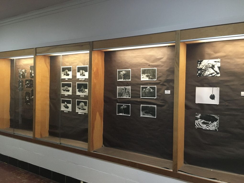 A view of class cases on a wall, each of which contain size medium sized black and white photo prints