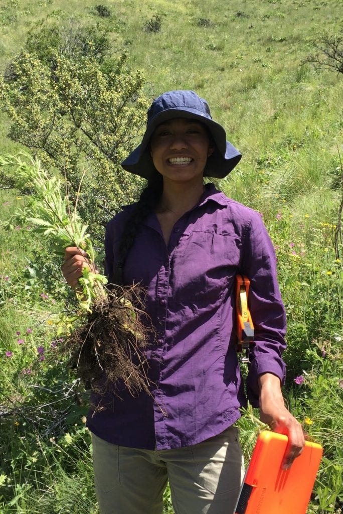 Faythe holding a sulfur cinquefoil plant in the field