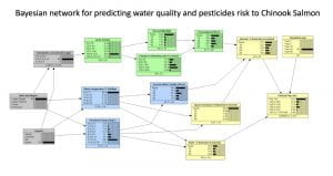 Bayesian network for predicting water quality and pesticide risk to Chinook Salmon.  Looks like a process diagram with boxes and arrows.