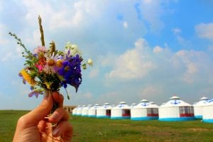 Hand holding wild flowers, with rows of circular tents in background