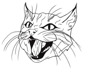A black and white line drawing of a cat with mouth open, showing teeth